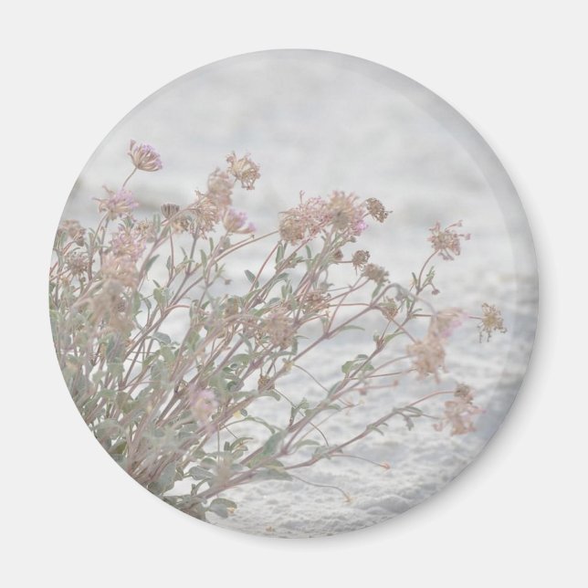 Rosa Flowers on White Sand Magnet (Framsidan)