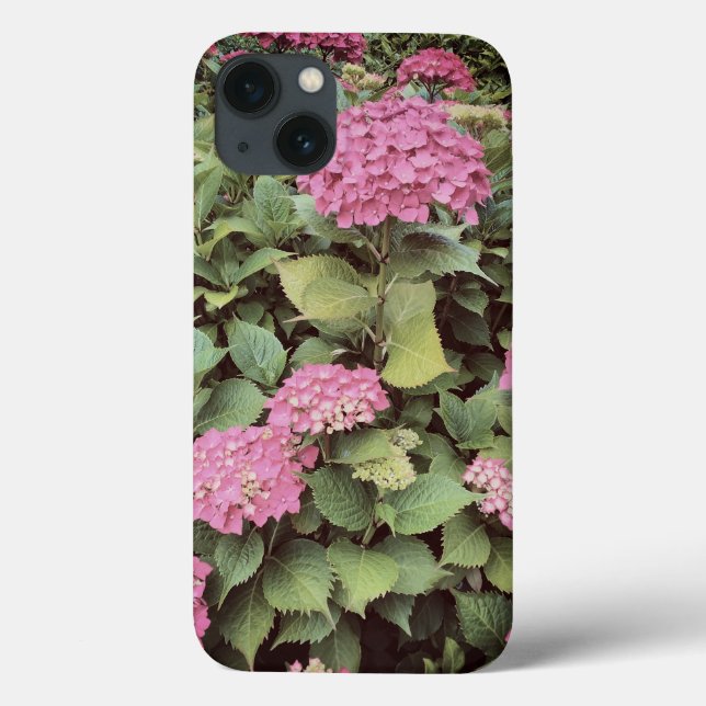 Rosa Flowers Photo Apple iPhone 7, Tuff Xtreme (Baksida)