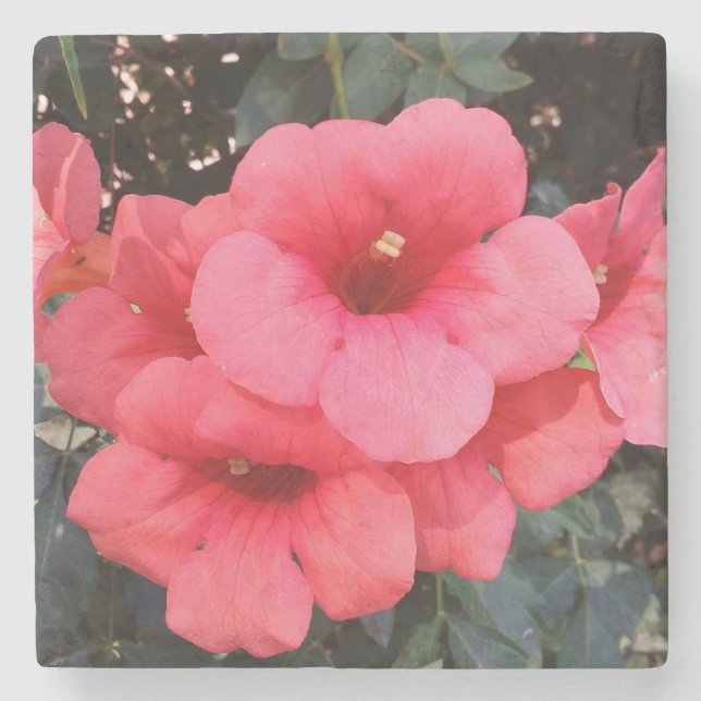 Rosa Flowers Photo Marble Stone Underlägg (Framsidan)