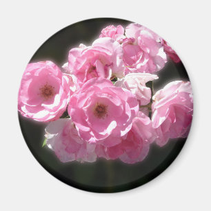 Rosa Flowers Standard, 2,4-tums runda magnet