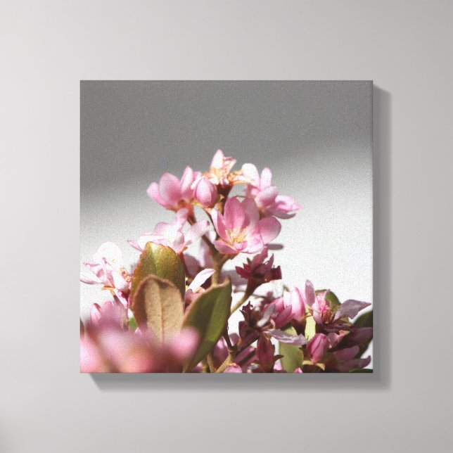 Rosa Flowers Wrapped Canvas (Framsida)