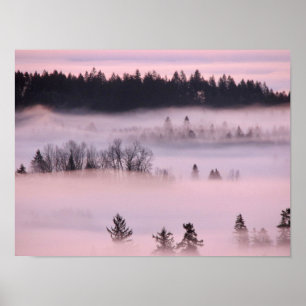 Rosa Fog Blanket. Poster