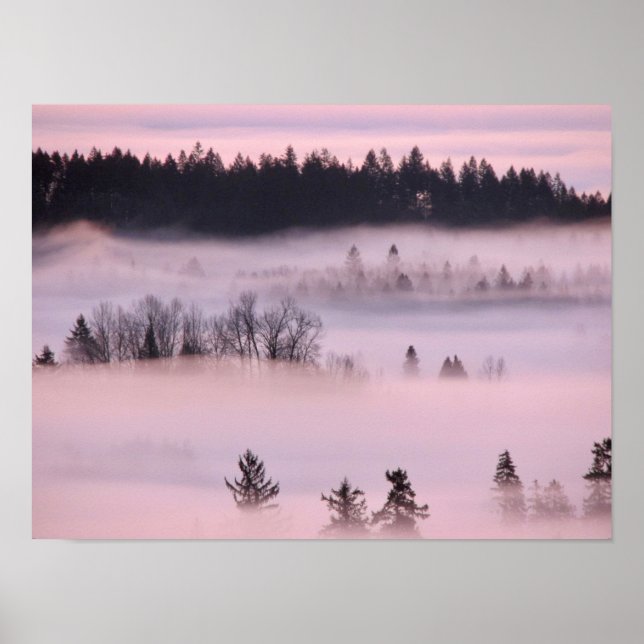 Rosa Fog Blanket. Poster (Framsidan)