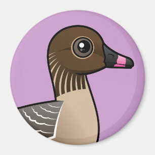 Rosa-footed gås magnet