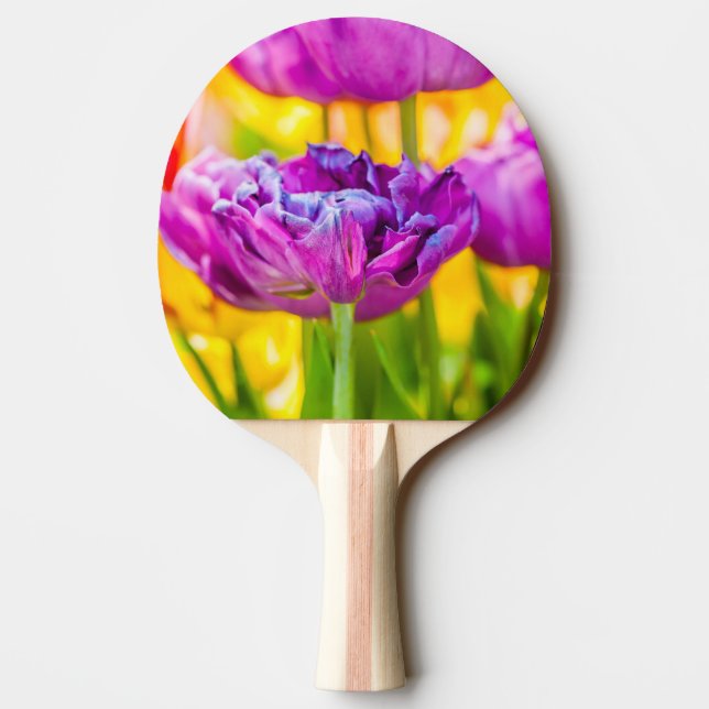 Rosa för Mörk av rördragning Pingisracket (Baksidan)