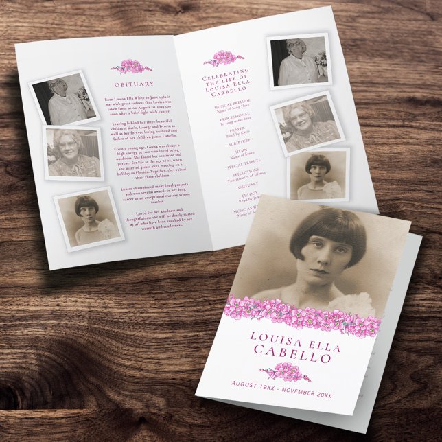 Rosa för vanliga serviceprogram - bortglömda bilde program (Skapare uppladdad)