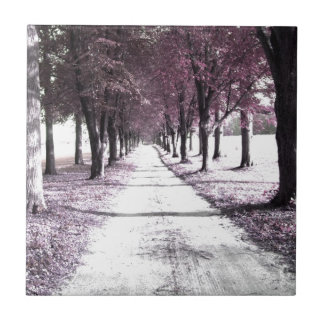 rosa Forrest Gump väg Kakelplatta
