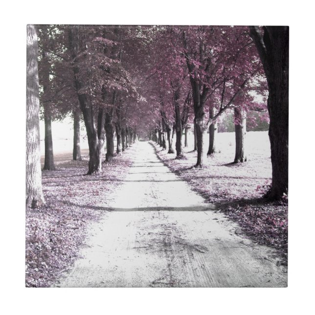 rosa Forrest Gump väg Kakelplatta (Framsidan)