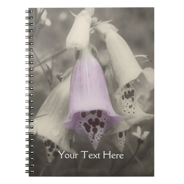 Rosa Foxglove blomma in Black and White Notebook Anteckningsbok (Framsidan)