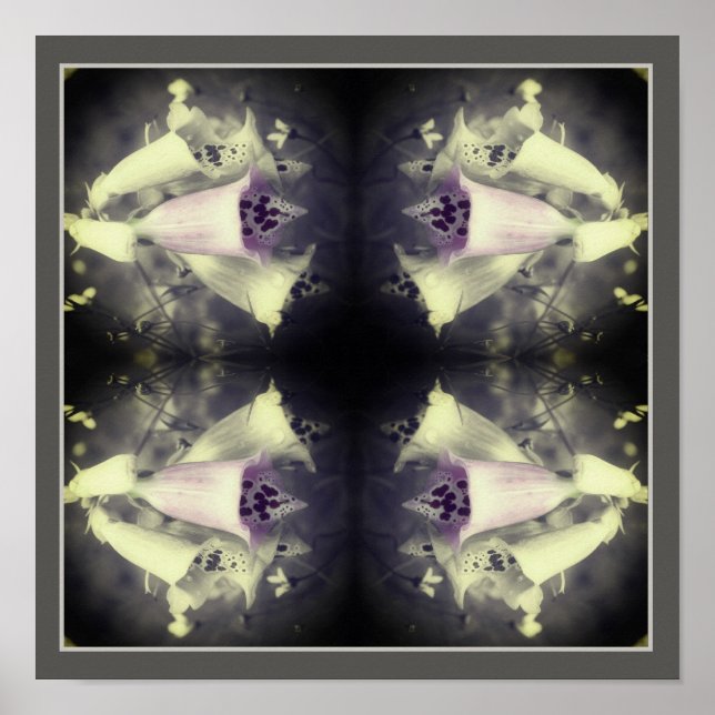 Rosa Foxglove Flower Black and White Abstrakt Poster (Framsidan)
