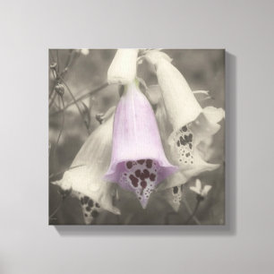 Rosa Foxglove Flower Black and White Partial Färg Canvastryck