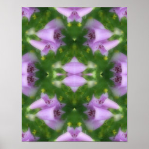 Rosa Foxglove Flowers Abstrakt Poster