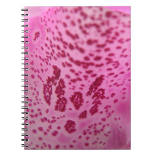Rosa Foxglove Petal Notebook Anteckningsbok Med Spiral