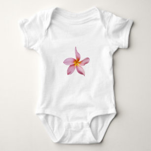 rosa frangi panni tee
