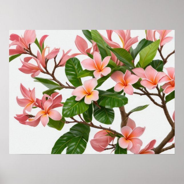 Rosa Frangipani Flower Poster (Framsidan)