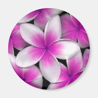 rosa frangipani magnet