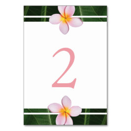 Rosa Frangipani Plumeria Bröllop Bordsnummer