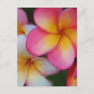 Rosa Frangipani Plumeria Flowers Vykort