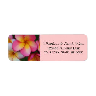 Rosa Frangipani Plumeria Tropical Flowers Returadress Etikett