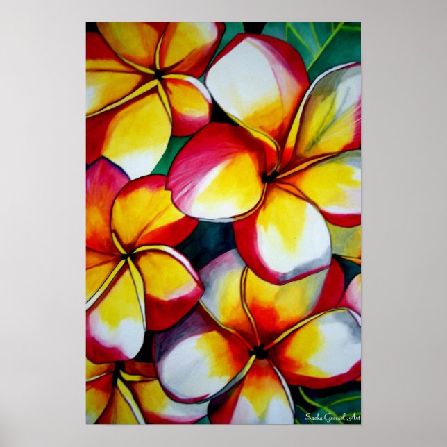 Rosa Frangipani poster av Sacha Grossel Art (Framsidan)