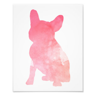 Rosa Fransk Bulldog alias Frenchie Fototryck