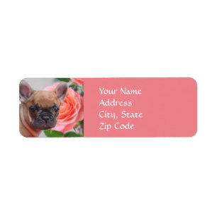 Rosa fransk bulldoggadressetiketter returadress etikett