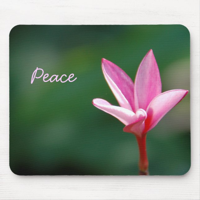 Rosa fred Mousepad Musmatta (Framsidan)
