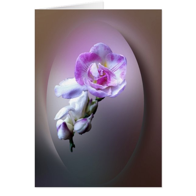 rosa Fresia-blomma Hälsningskort (Framsidan)