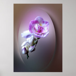 rosa Fresia-blomma Poster