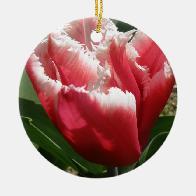 Rosa Fringed Tulip Anpassningsbar Birthday Julgransprydnad Keramik (Framsidan)