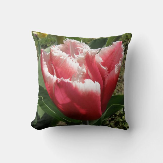 Rosa Fringed Tulip Pillow Kudde (Framsida)