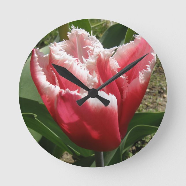 Rosa Fringed Tulip Wall Clock Rund Klocka (Framsida)