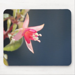 Rosa Fuchsia Mousepad Musmatta
