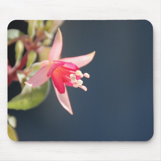 Rosa Fuchsia Mousepad Musmatta (Framsidan)