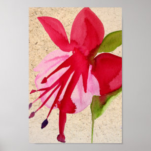 Rosa Fuchsia popart vattenfärgsblomma Poster
