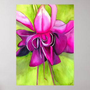 Rosa Fuchsia - strålande vattenfärgsmodern bloma Poster