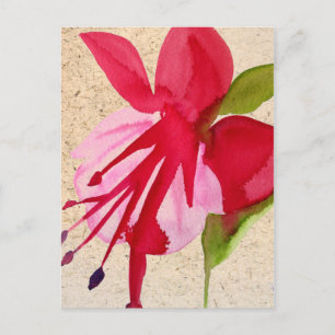Rosa Fuchsia vattenfärgsblomma popart Vykort