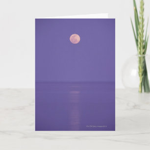 Rosa Full Moon Kort