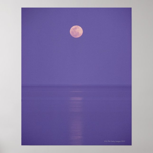 Rosa Full Moon Poster (Framsidan)