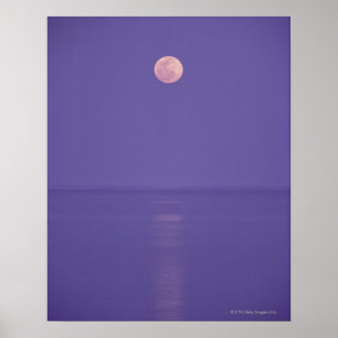 Rosa fullmåne poster