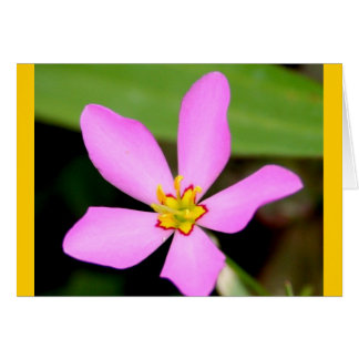 Rosa Funky Flower Hälsningskort