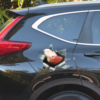 Rosa Galah-papegojsticker – Australisk fågeldekal Klistermärken