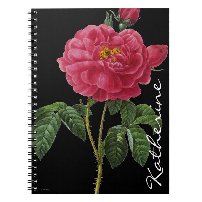 Rosa Gallica Anteckningsbok (Framsidan)