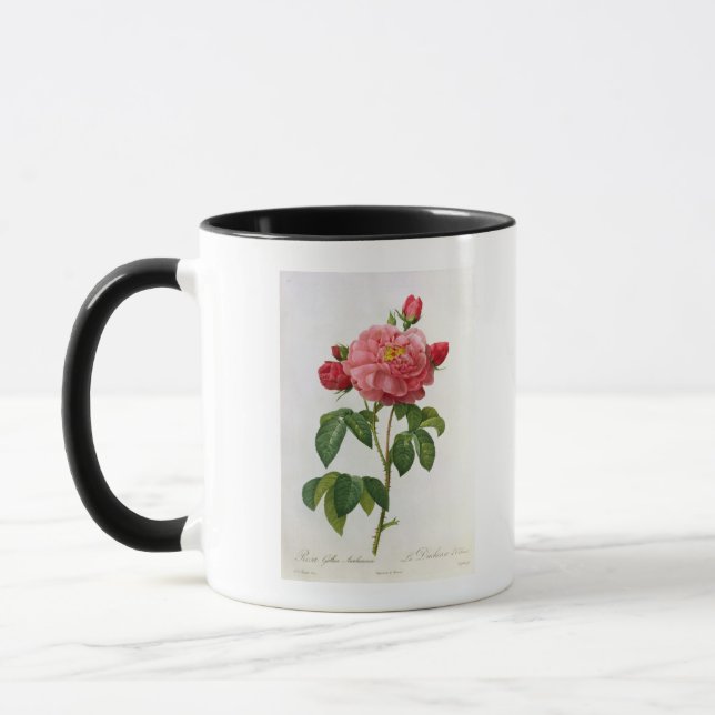Rosa Gallica Aurelianensis Mugg (Vänster)