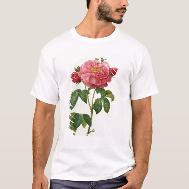 Rosa Gallica Aurelianensis Tee (Framsida)