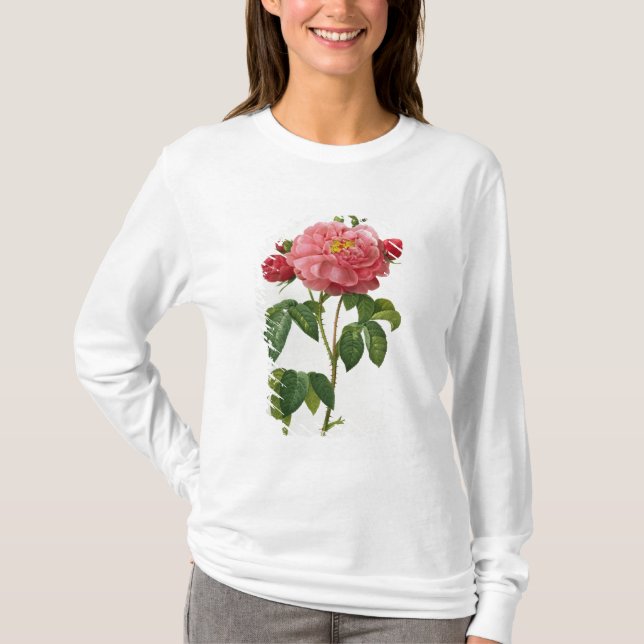 Rosa Gallica Aurelianensis Tröja (Framsida)