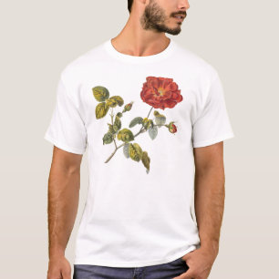 Rosa Gallica BeVacker Red Antique Ro Vintage Tee