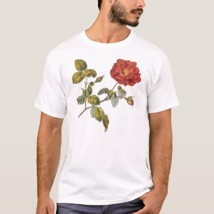 Rosa Gallica BeVacker Red Antique Vintage Ro T Shirt
