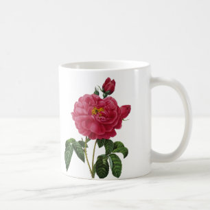Rosa Gallica Kaffemugg