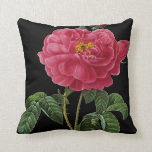 Rosa Gallica Kudde
